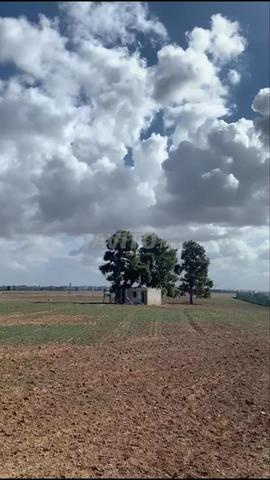 أرض فاخرة للبيع - 2