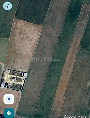 Terrain agricole à vendre près de Khouribga - 2