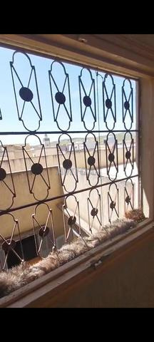منزل شقة للبيع طابق ثاني - 2