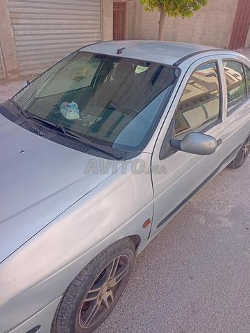 أسفي مرجانة 1 - 2