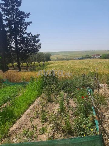 مزرعة موثقة - 2