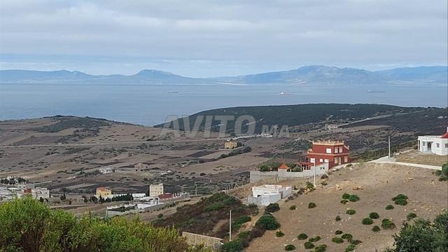 فرصة استثمارية ممتازة بالقصر الصغير - 2