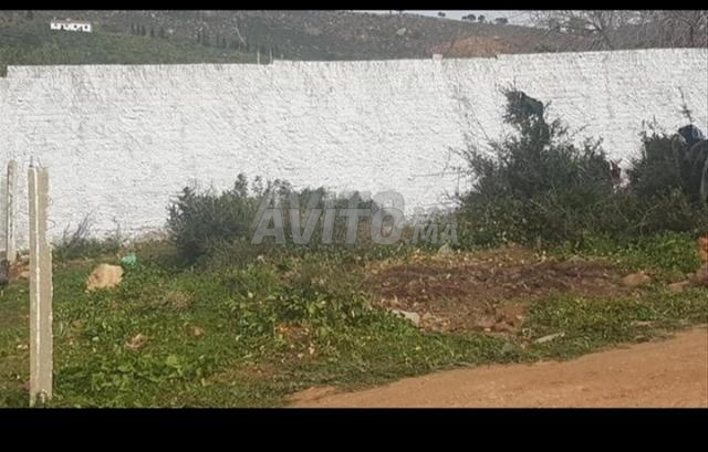 بوجدور 25 دقيقة من مطار طنجة - 2