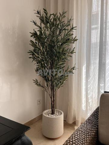 Plante artificielle Olivier Zaytouna