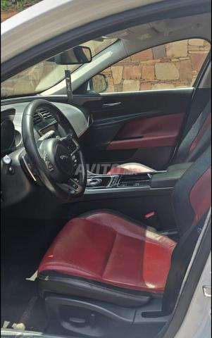 Jaguar en excellent état - 2
