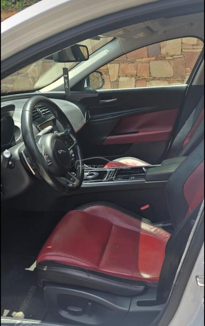 Jaguar en excellent état