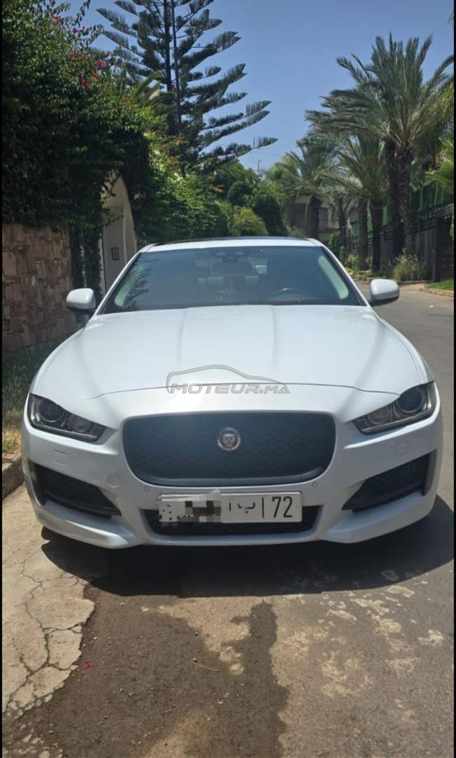 Jaguar en excellent état