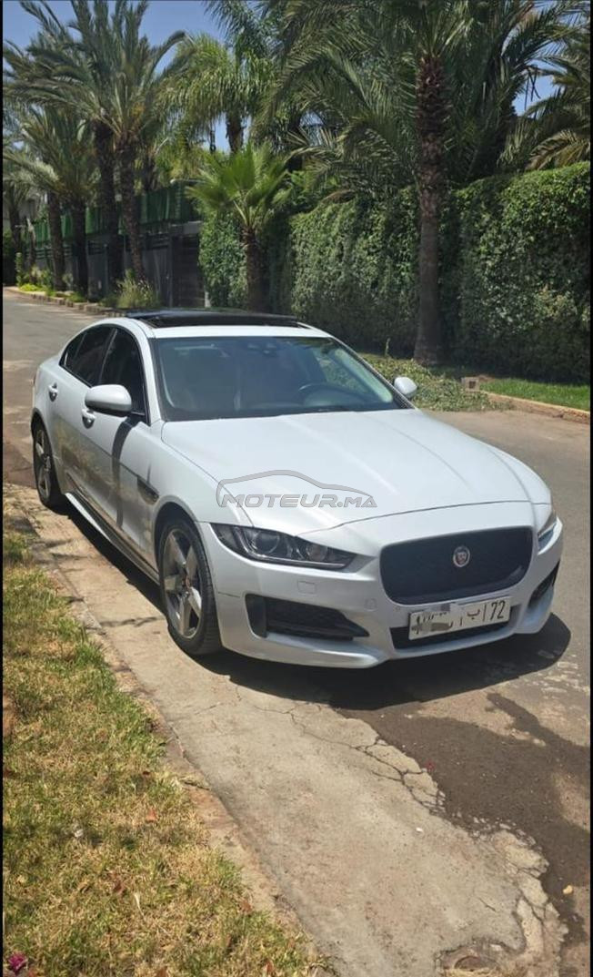 Jaguar en excellent état