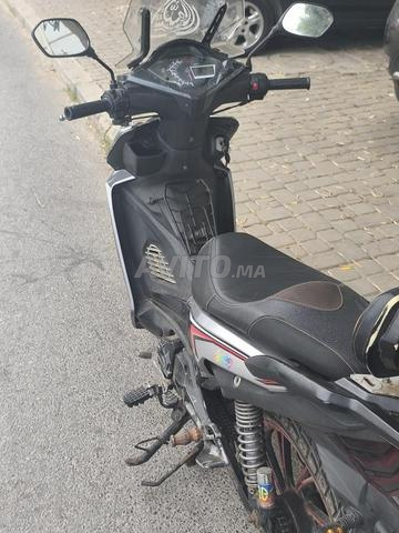 دراجة سبرينغ 2023 - 2