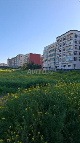 أرض للبيع الطابق الخامس 280 متر مربع - 2