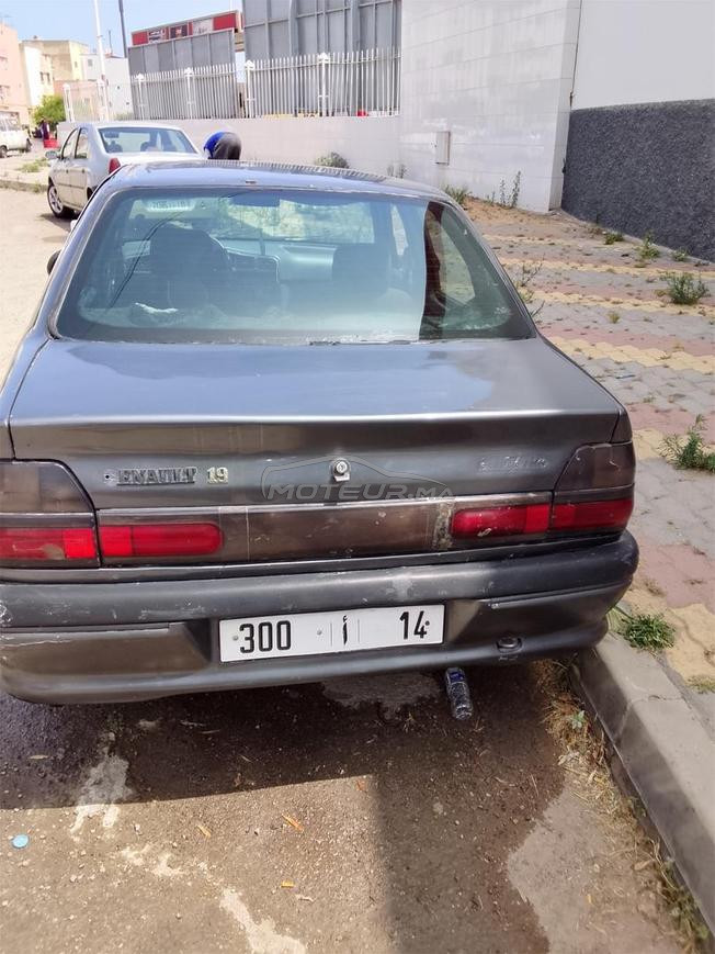 ار19 نقية 