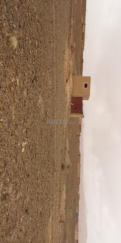 أرض 2000 م2 - 2