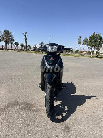 سانيس فيس تي زد إكس 2020 - 2