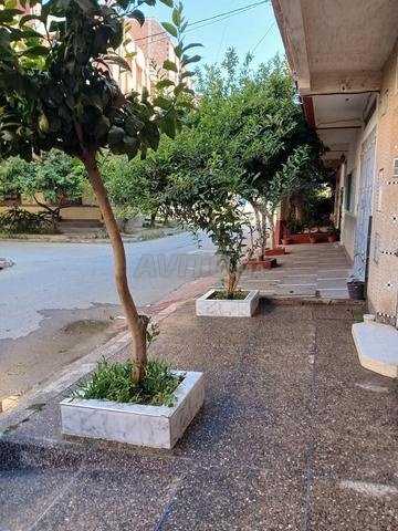 Sidi Slimane - 2