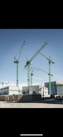 GRUES A TOUR - 2