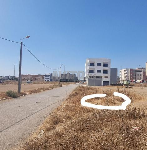 بقعة أرضية محفظة للبيع بسيدي العربي عين عودة