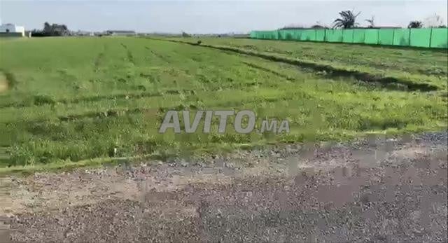 أراضٍ وفيلات محفظة بسيدي رحال - 2