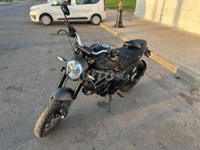 Moto Cimatti Monstre 50 Evo 3 - 2