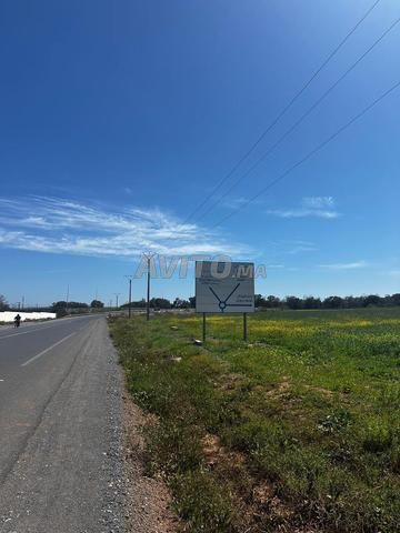 Terrain 8000m2 à vendre Bouznika - 2