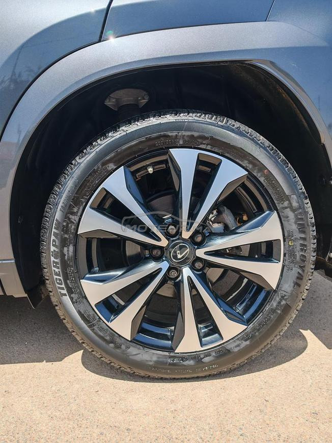 lexus lexus 