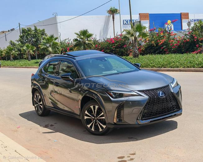 lexus lexus 