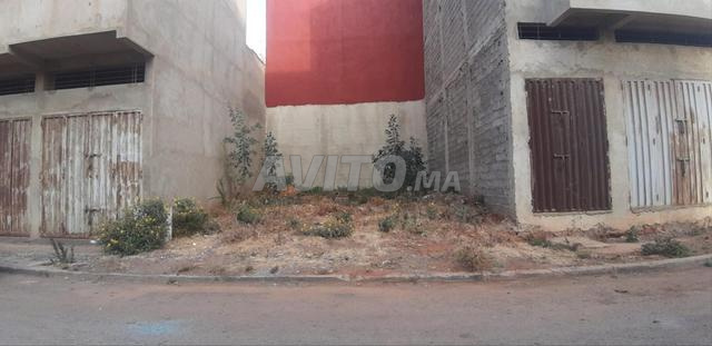 Terrain 80 m2 Mers El Kheir - 2