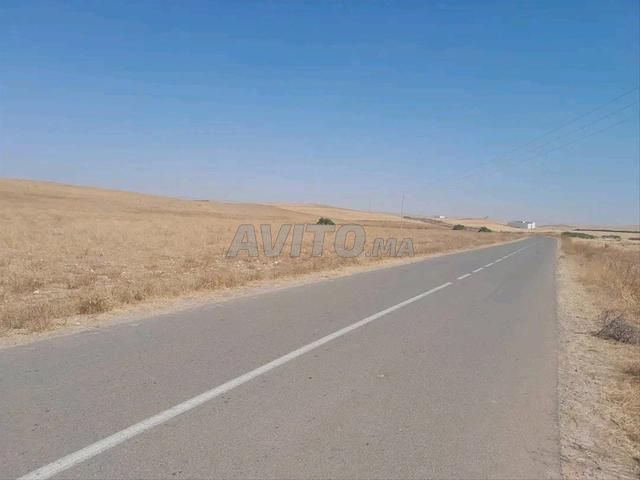 Terrain titré de 2 hectares à vendre à Youssoufia
