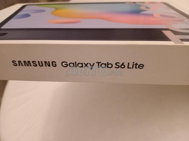 Galaxy Tab S6 Lite modèle 2022 - 2