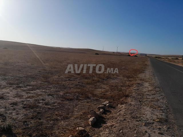 Terrain titré de 2 hectares à vendre à Youssoufia - 2