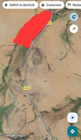 Terrain titré de 2 hectares à vendre à Youssoufia