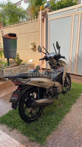 Sh daytona makina 140cc modèle 2026 bon état - 2