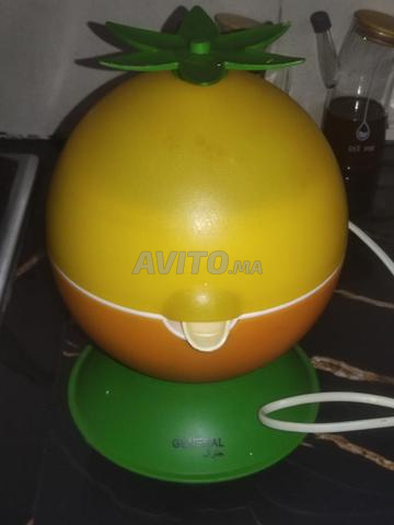 Presse-agrumes électrique General Steel Citron - 2