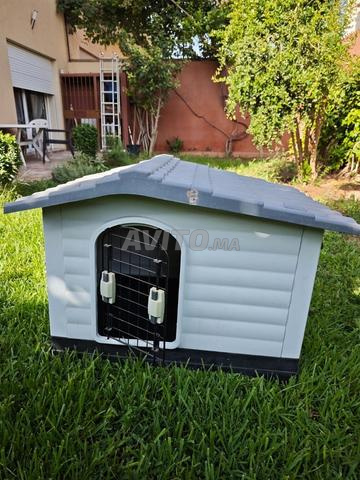 Niche d'extérieur pour chien ou chat avec porte
