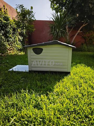 Niche d'extérieur pour chien ou chat avec porte - 2