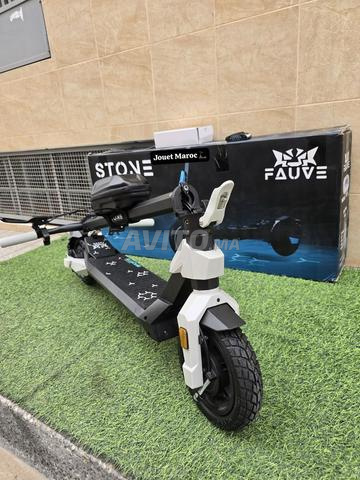 Trottinette Stone livraison gratuite
