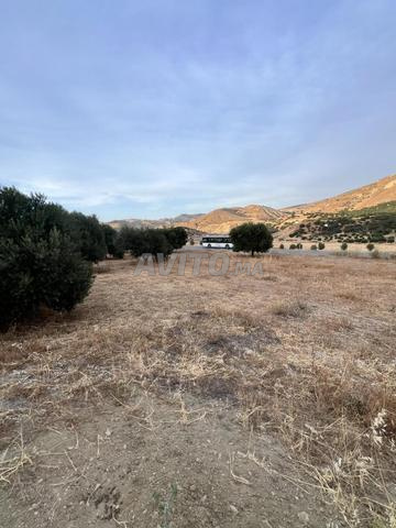 🔥 Opportunité d'investissement rare au Maroc 🔥