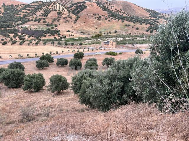 🔥 فرصة استثمارية نادرة بالمغرب 🔥 - 2