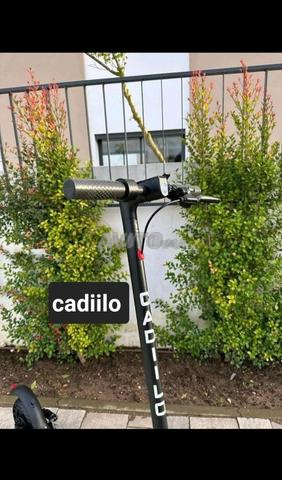 Cadiilo TMAX - 2