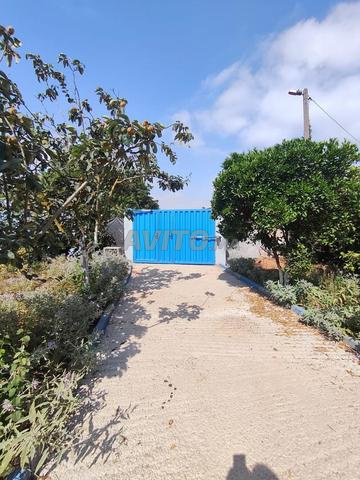 À vendre ferme et opportunité d'investissement - 2