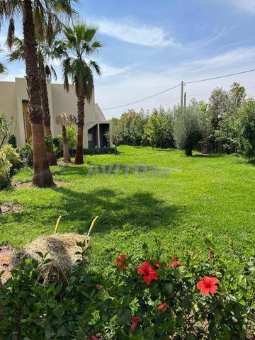 Villa à vendre 3200 m² km 19 Sidi Abdellah Ghiate - 2