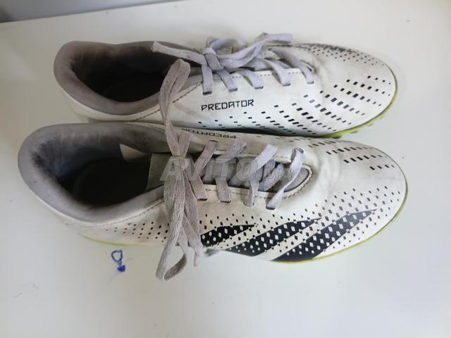 Adidas modèle 2024 original