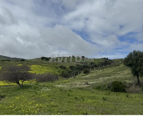 Terrain à vendre 8350m en pleine propriété - 2