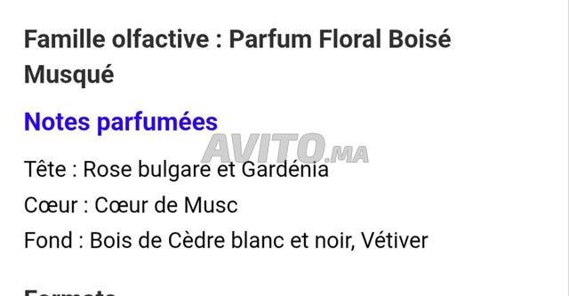 Parfum Narciso - 2