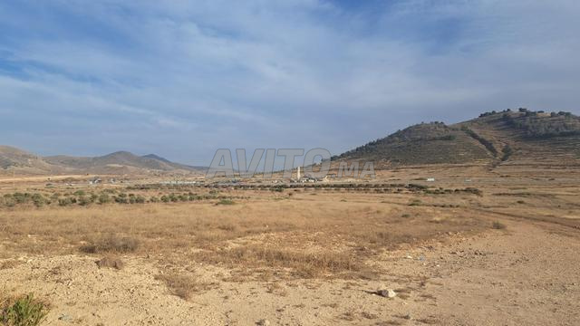 Bouyafar Route Côtière Nador - 2