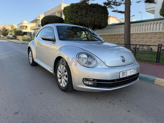 Coccinelle 2017 - 2