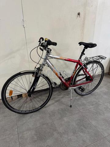 Vélo importé de Hollande - 2