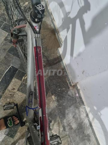 Vélo Hawaïen paiement cash - 2