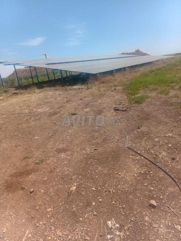 TERRAIN AGRICOLE TITRE A VENDRE DE 65 HA   - 2