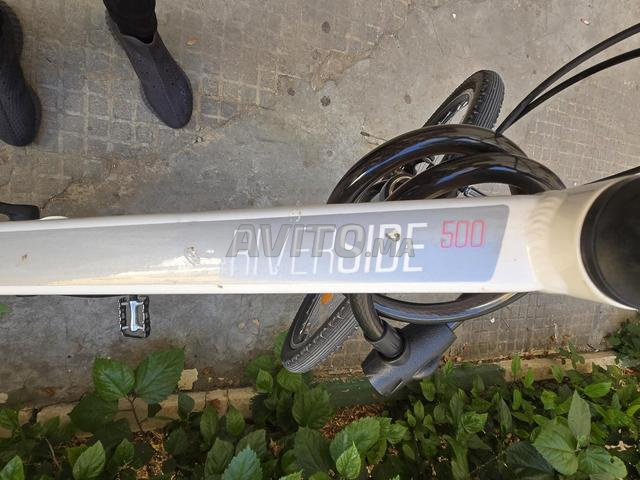 Riverside 500 - 2