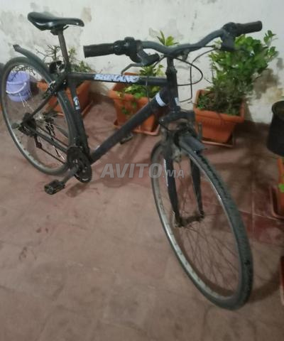 Vélo - 2